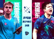 乐鱼体育-关于瑞典足球队成功跻身欧锦赛四强，实力可观的信息