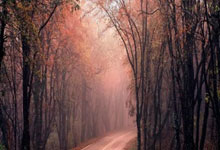 重庆力帆队主场取胜，临近冲击前列