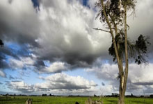 灰熊队新秀表现风生水起，引起球迷热议