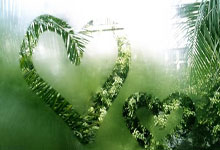 重庆力帆队主场取胜，临近冲击前列