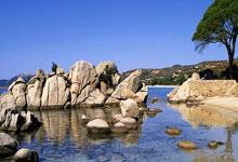 球员因病缺席比赛同队合作推进：逆境中绽放的团队力量