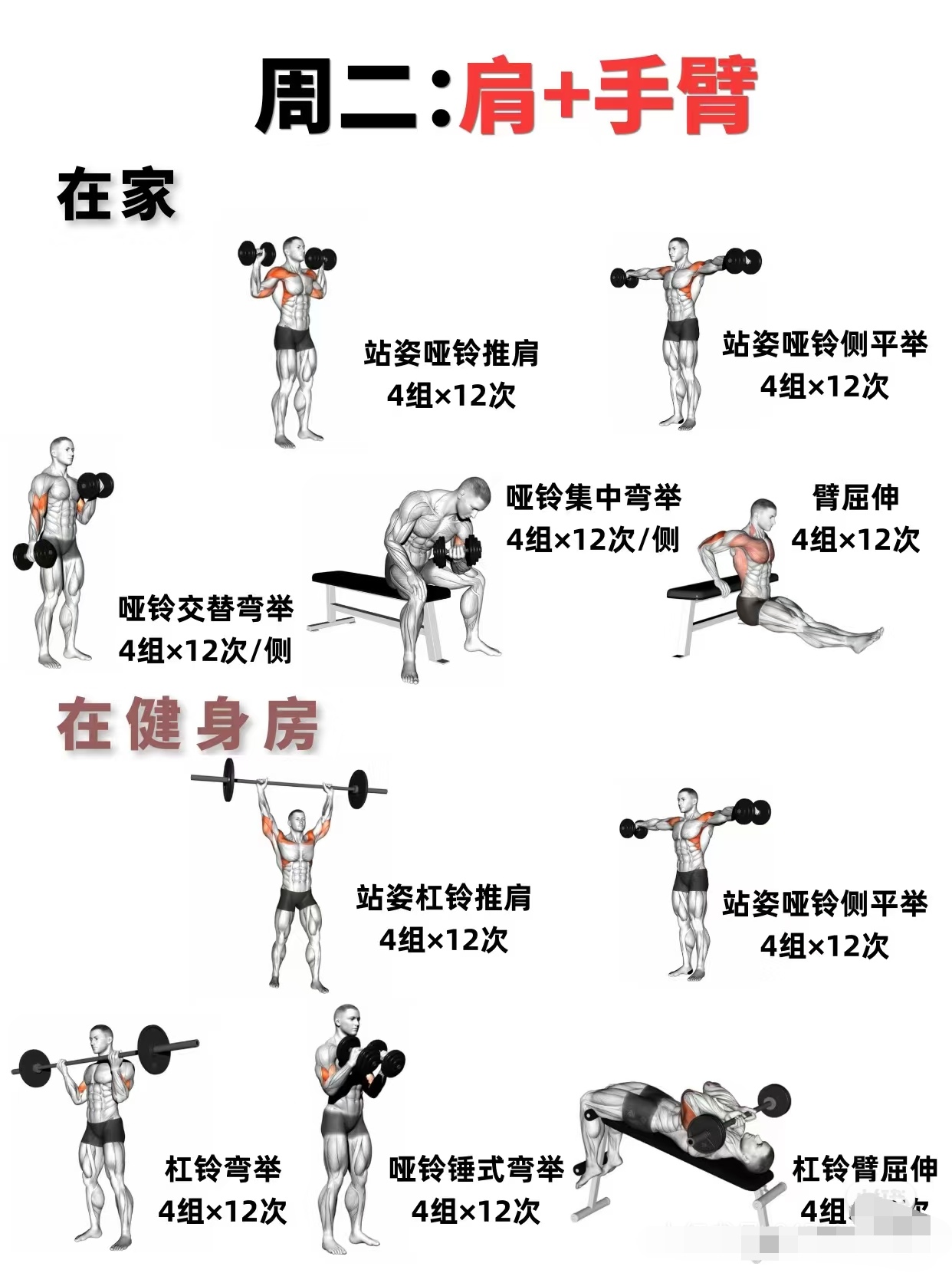 包含运动员训练秘籍揭秘，看他们是如何锻炼的的词条